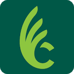 Wilmington College icon