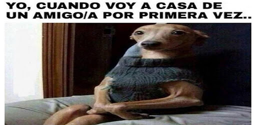 Imagenes Chistosas con Frases pc screenshot Imagenes Chistosas con Frases pc screenshot