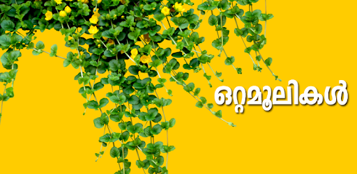 Ottamoolikal Malayalam pc screenshot