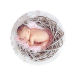 Ovulation cycle icon