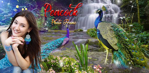 Peacock Photo Frame : Garnish your photos pc screenshot