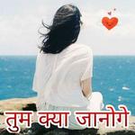 New Hindi Shayari, DP, Photo   - तुम क्या जानोगे icon