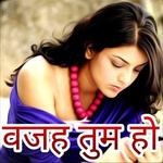 वजह तुम हो - Hindi Jokes, Status, Dp , Shayari App for pc icon