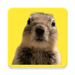 Photobomb maker editor icon