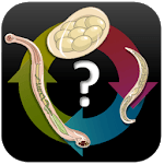 Parasitology Quiz Questions 🔬 for pc icon