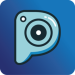 Partipost icon
