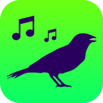 All Birds of North America - Birds Songs for pc icon
