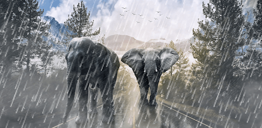 Rain Overlay: Frames for Pictures with Effects App pc screenshot Rain Overlay: Frames for Pictures with Effects App pc screenshot
