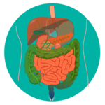 Nursing Anatomy & Physiology icon
