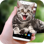 Funny Cat Walks On Screen - Cute Animation & Joke icon