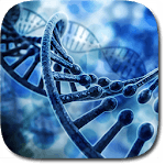 DNA 3D Live Wallpaper icon