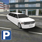 Miami Limousine car Parking icon