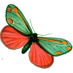 Pharmafly icon