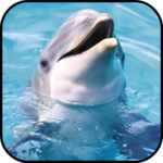 Dolphin Wallpapers icon