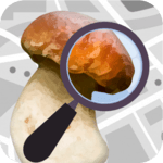 Mushroom Identify - Automatic picture recognition icon