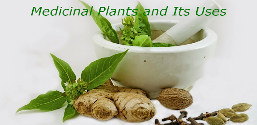 Medicinal Plants and Its Uses pc screenshot Medicinal Plants and Its Uses pc screenshot