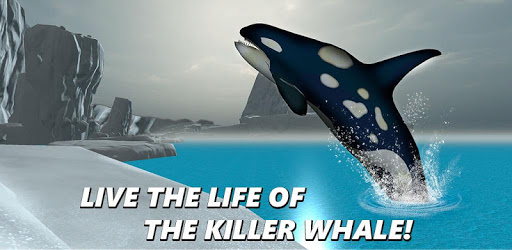 Killer Whale Simulator: Orca pc screenshot Killer Whale Simulator: Orca pc screenshot