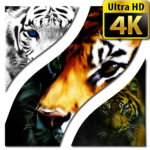Tiger Wallpapers 4K UHD icon