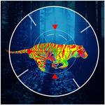 Tiger Hunting 2016 icon