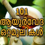 101 Ayurveda Ottamoolikal icon