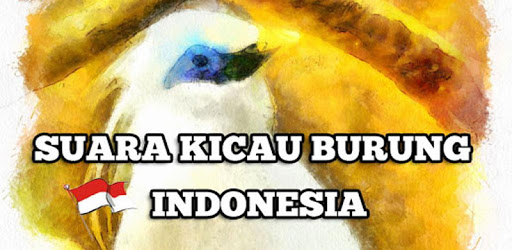 Chirping Birds of Indonesia pc screenshot