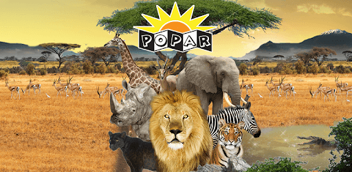 Popar Safari pc screenshot Popar Safari pc screenshot