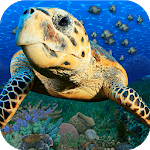 Popar Sea Life icon