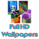 Full HD Wallpapers (Background) icon