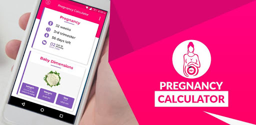 Pregnancy Calculator -Track Pregnancy Week by Week pc screenshot