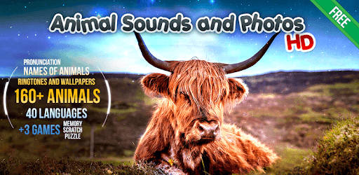 Animal Sounds pc screenshot Animal Sounds pc screenshot