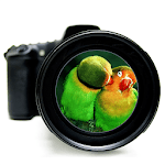3D Zoom HD Camera 💎⚜️ icon