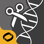 Restriction Enzyme Tool icon