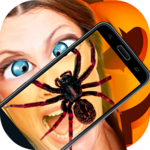 Spider Real 3D Camera Prank icon