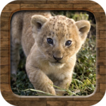 Animal Sounds icon