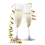 Wedding Organizer icon