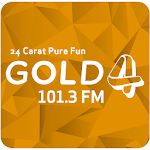 Gold 101.3 FM icon