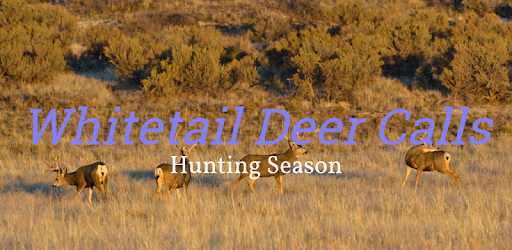 Whitetail Deer Hunting Calls pc screenshot Whitetail Deer Hunting Calls pc screenshot