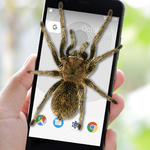 Spider on Screen Prank for pc icon