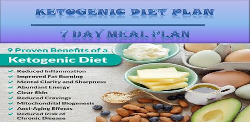 Ketogenic Diet pc screenshot Ketogenic Diet pc screenshot