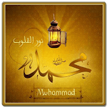 Muhammad Name Live Wallpapers icon