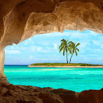 live wallpaper palm tree icon
