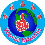 Montaj-Tel icon
