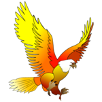 King Bird KSA / kingbirdksa / KBKSA icon