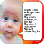 Jokes Quotes for Chat icon