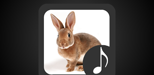Rabbit Sounds pc screenshot