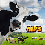 Funny Cow Sounds Audio icon