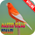 Master Karii Kenari MP3 icon