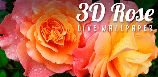 3D Rose Live Wallpaper pc screenshot 3D Rose Live Wallpaper pc screenshot