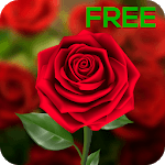 3D Rose Live Wallpaper icon