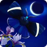 Flutter: Starlight for pc icon Flutter: Starlight for pc icon